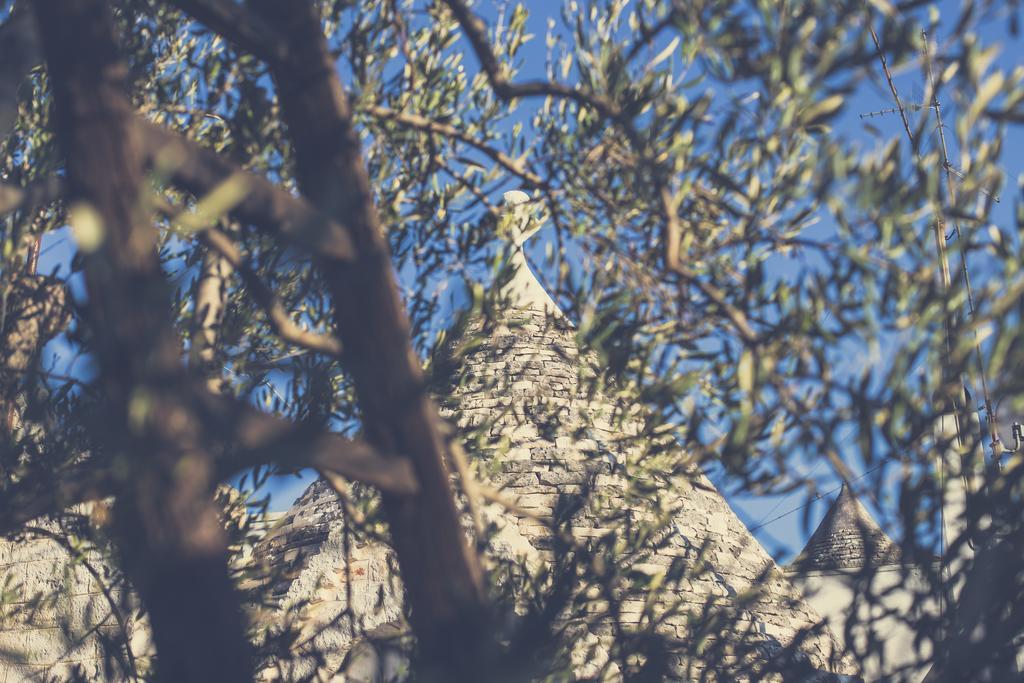 Residenze Nei Trulli Vila Alberobello Exterior foto